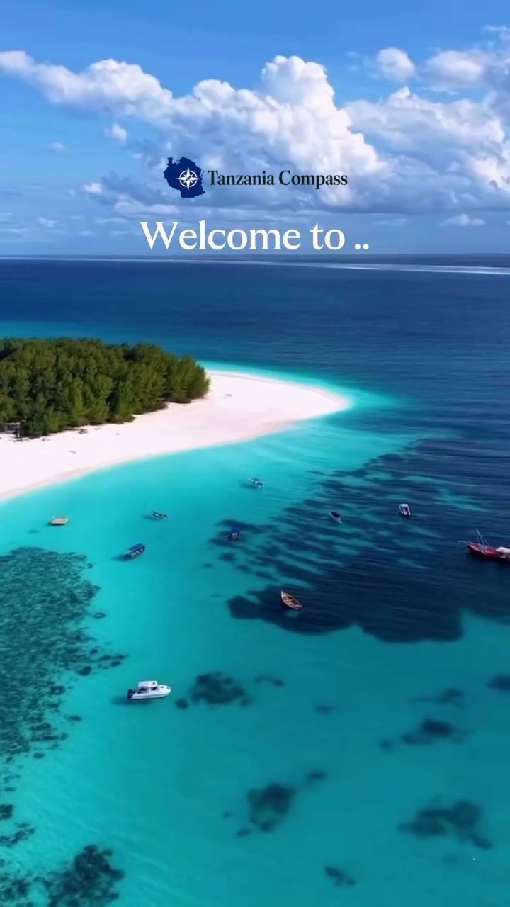 A short video of a fruit platter over Zanzibar's turquoise water